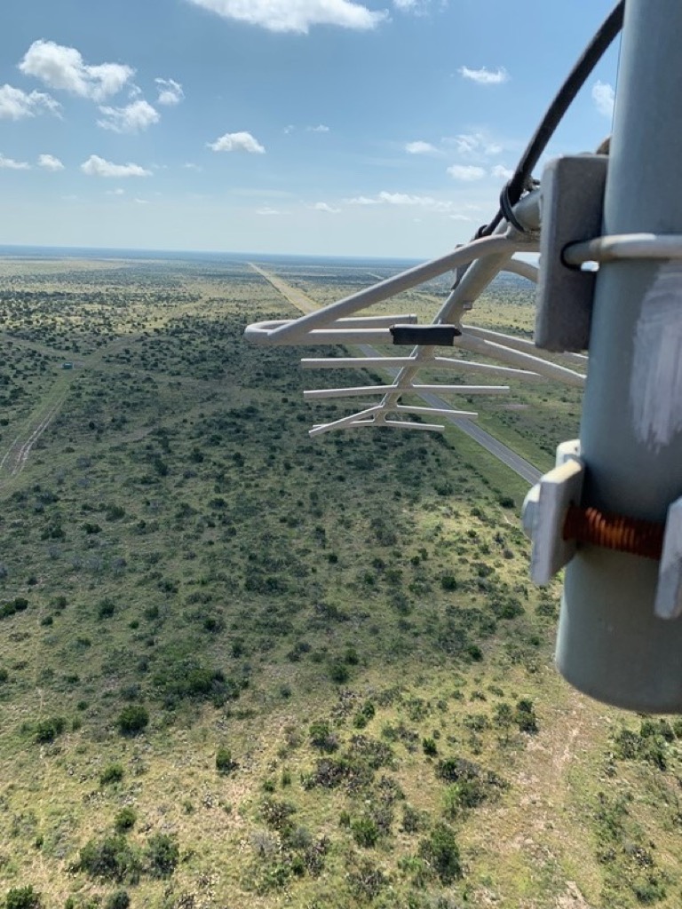 FTL_L2_307_Twr Trash